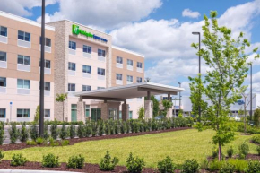  Holiday Inn Express & Suites - Tampa North - Wesley Chapel, an IHG Hotel  Уэсли-Чепел